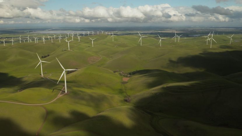 How does CO2 compensation work?
